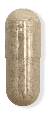 NAC capsule, one per daily sachet.