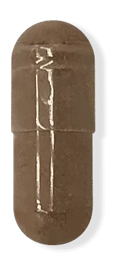 Rhodiola Rosea root extract capsule, one per daily sachet.