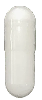 L-Theanine capsule, one per daily sachet.